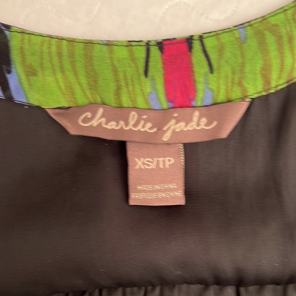 Charlie Jade abstract multicolor three quarter sleeve silk dress XS - Picture 8 of 9